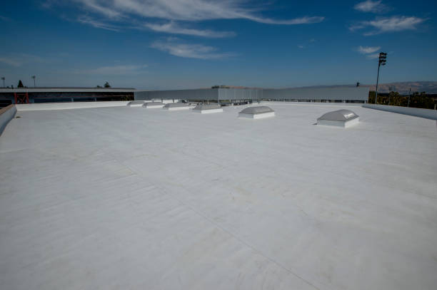 Professional Roofing Services in Norfolk, VA