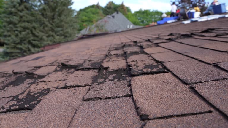 Emergency Roof Repair in Norfolk, VA
