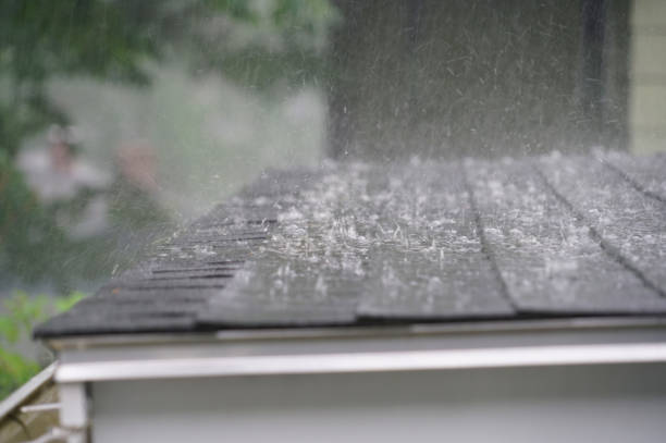 Best Gutter Replacement  in Norfolk, VA