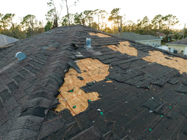 Best Chimney Flashing Repair  in Norfolk, VA