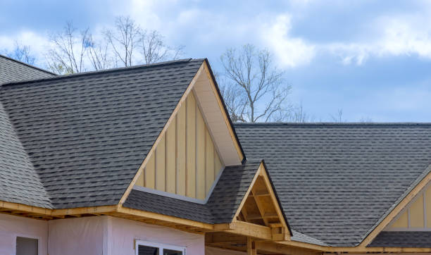 Best Gutter Installation and Repair  in Norfolk, VA