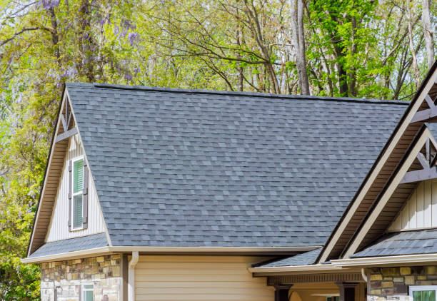 Best Skylight Installation and Repair  in Norfolk, VA